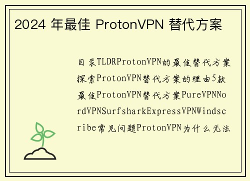 2024 年最佳 ProtonVPN 替代方案